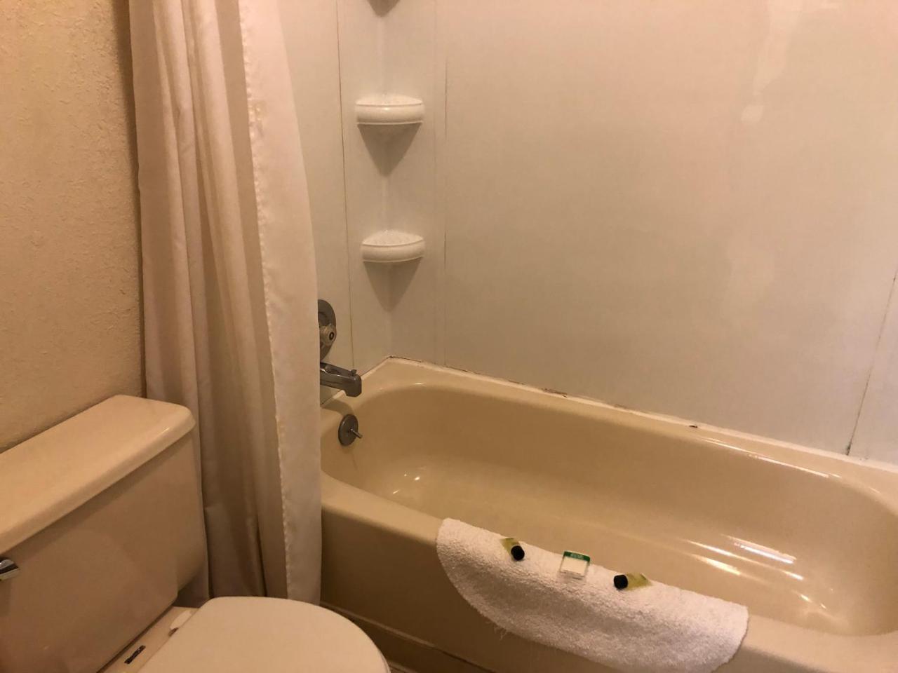 The Golden Bear Motel 톡 외부 사진